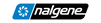 nalgenebottle.com